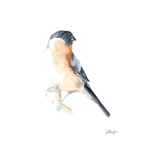 Watercolor Songbirds V Gold Ornate Wood Framed Art Print with Double Matting by Harper, Ethan