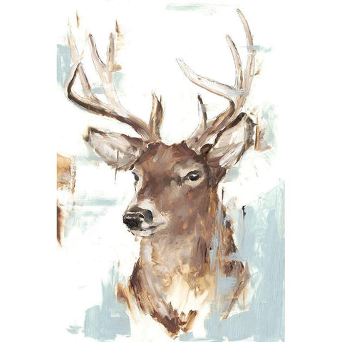 Modern Deer Mount II Black Modern Wood Framed Art Print with Double Matting by Harper, Ethan