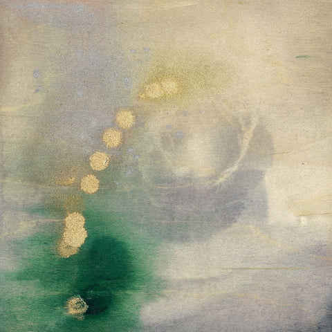 Viridian Satellite I White Modern Wood Framed Art Print with Double Matting by Goldberger, Jennifer