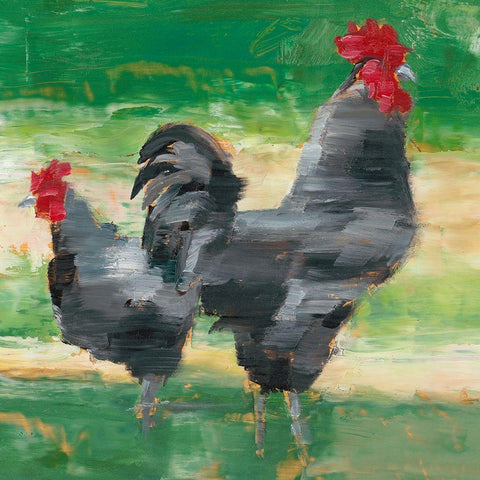 Black Rooster and Hen I Black Modern Wood Framed Art Print with Double Matting by Harper, Ethan