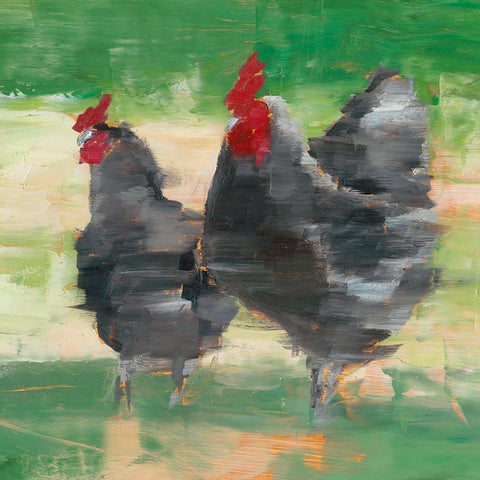 Black Rooster and Hen II White Modern Wood Framed Art Print with Double Matting by Harper, Ethan