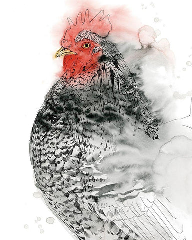 Plymouth Rooster I White Modern Wood Framed Art Print with Double Matting by Popp, Grace