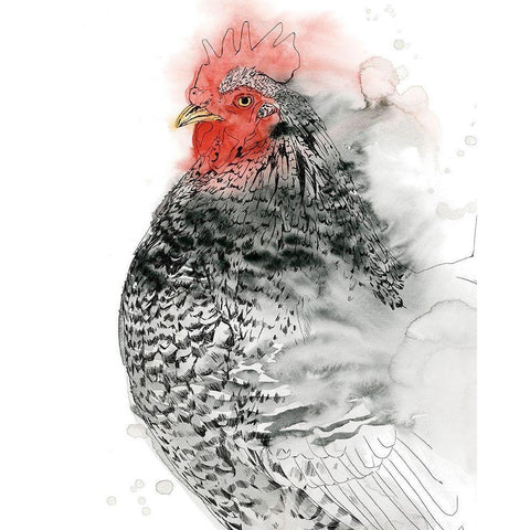 Plymouth Rooster I Black Modern Wood Framed Art Print by Popp, Grace