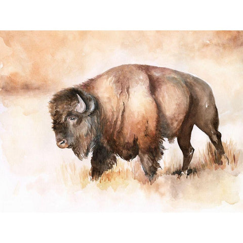 Buffalo Roam I Black Modern Wood Framed Art Print with Double Matting by Parker, Jennifer Paxton