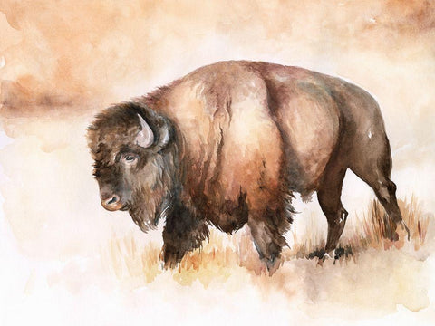 Buffalo Roam I White Modern Wood Framed Art Print with Double Matting by Parker, Jennifer Paxton