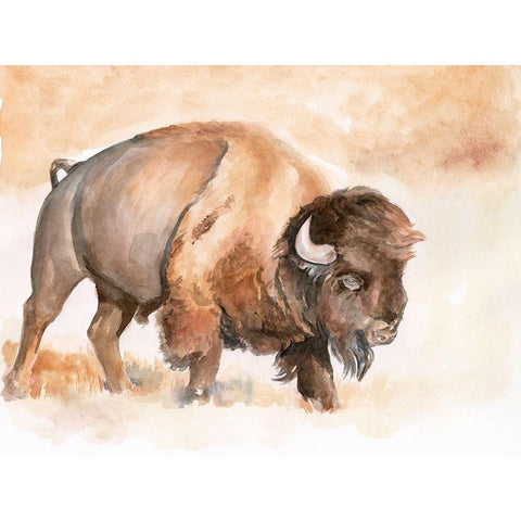 Buffalo Roam II White Modern Wood Framed Art Print by Parker, Jennifer Paxton