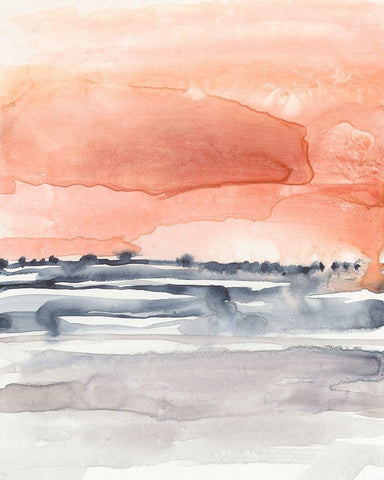 Coral Sky II Black Ornate Wood Framed Art Print with Double Matting by Goldberger, Jennifer