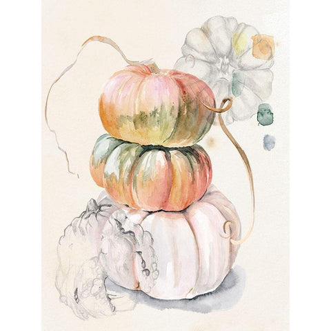 Harvest Pumpkins I Black Modern Wood Framed Art Print with Double Matting by Parker, Jennifer Paxton