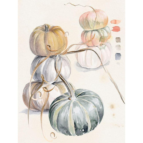 Harvest Pumpkins II Black Modern Wood Framed Art Print with Double Matting by Parker, Jennifer Paxton