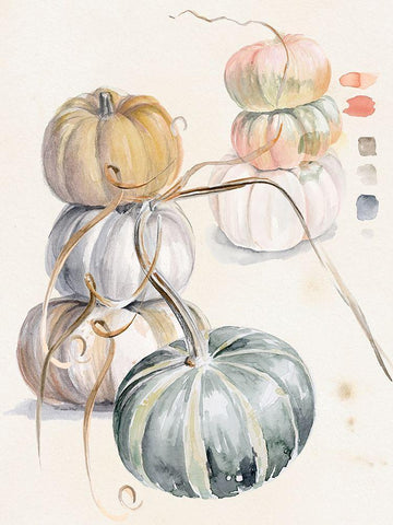 Harvest Pumpkins II White Modern Wood Framed Art Print with Double Matting by Parker, Jennifer Paxton