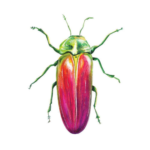 Buggin Out II Gold Ornate Wood Framed Art Print with Double Matting by Hernandez, Larisa