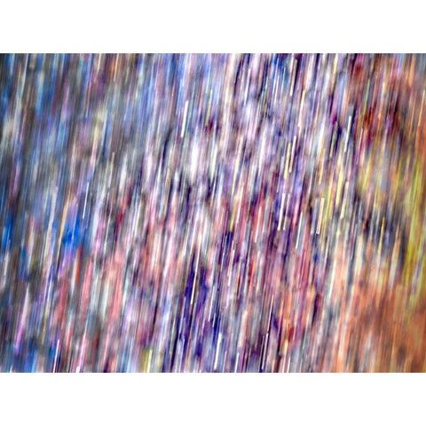 Bohemian Spirits II White Modern Wood Framed Art Print by Bane, Eva