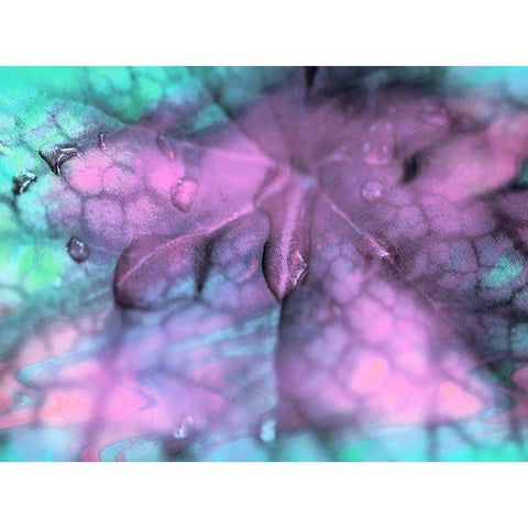 Celestial Dew Drops II Black Modern Wood Framed Art Print with Double Matting by Bane, Eva