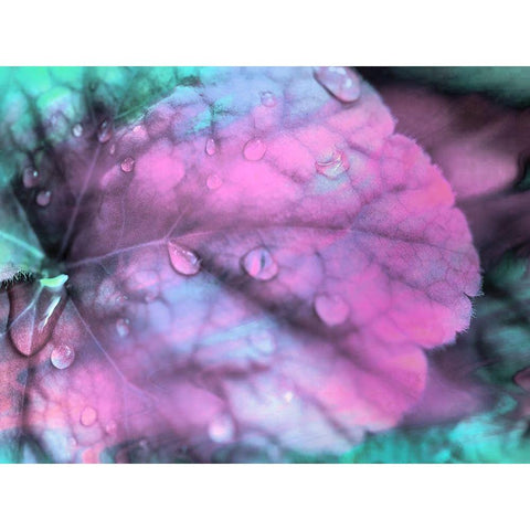 Celestial Dew Drops III Gold Ornate Wood Framed Art Print with Double Matting by Bane, Eva