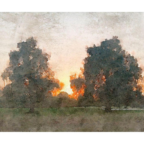 November Morning Mist II White Modern Wood Framed Art Print by Orlov, Irena