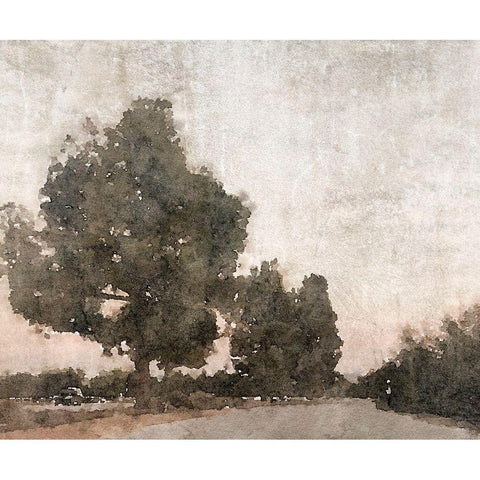 November Morning Mist III Black Modern Wood Framed Art Print with Double Matting by Orlov, Irena