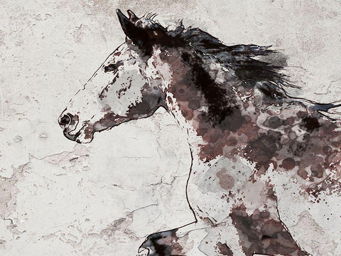 Winner Horse I White Modern Wood Framed Art Print with Double Matting by Orlov, Irena