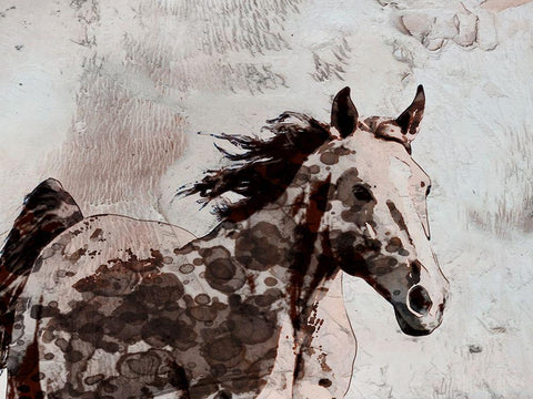 Winner Horse II White Modern Wood Framed Art Print with Double Matting by Orlov, Irena