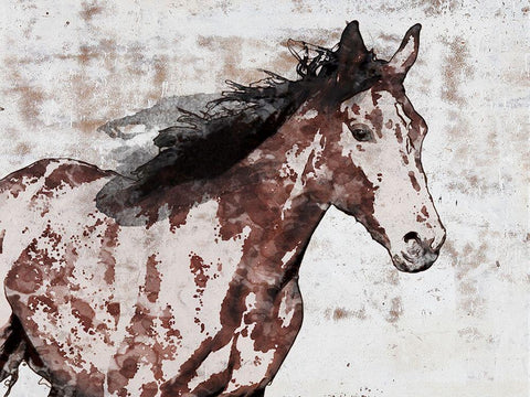 Winner Horse III White Modern Wood Framed Art Print with Double Matting by Orlov, Irena