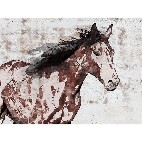 Winner Horse III White Modern Wood Framed Art Print by Orlov, Irena