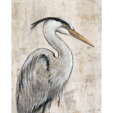 Grey Heron I Black Modern Wood Framed Art Print with Double Matting by OToole, Tim