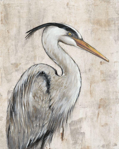 Grey Heron I Black Ornate Wood Framed Art Print with Double Matting by OToole, Tim