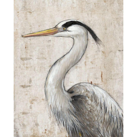 Grey Heron II White Modern Wood Framed Art Print by OToole, Tim