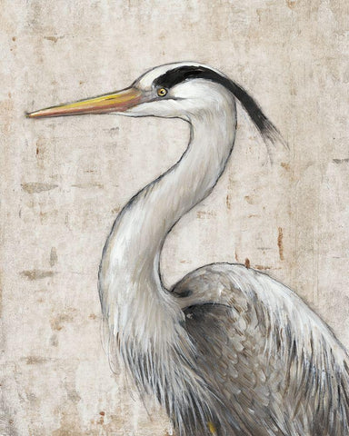 Grey Heron II Black Ornate Wood Framed Art Print with Double Matting by OToole, Tim