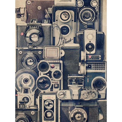 Vintage Cameras White Modern Wood Framed Art Print by Brown, Thomas