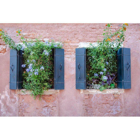 Italian Window Flowers II Black Modern Wood Framed Art Print by DeNardo, Laura