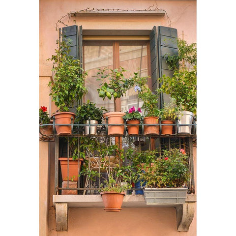 Italian Window Flowers III White Modern Wood Framed Art Print by DeNardo, Laura