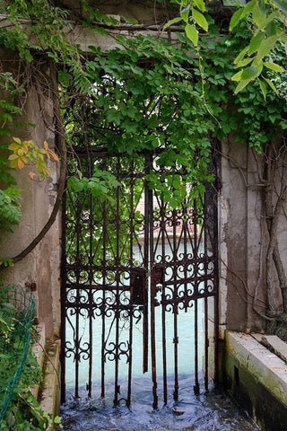 Elegant Canal Entrance Black Ornate Wood Framed Art Print with Double Matting by DeNardo, Laura