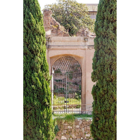 Rome Landscape IV Black Modern Wood Framed Art Print with Double Matting by DeNardo, Laura