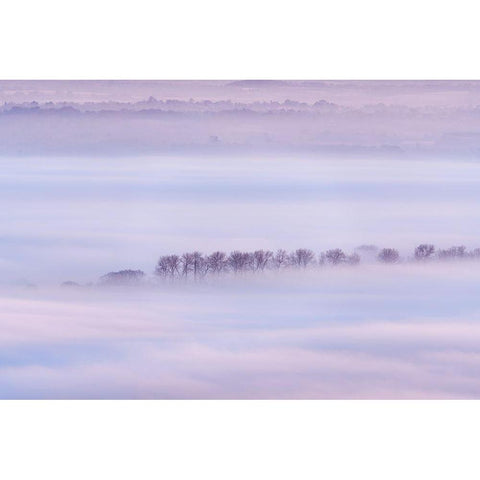 Mist Ripples II Gold Ornate Wood Framed Art Print with Double Matting by Dautlich, Nick