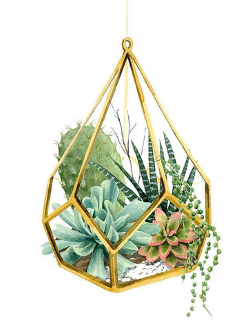 Wild Terrarium II White Modern Wood Framed Art Print with Double Matting by Popp, Grace