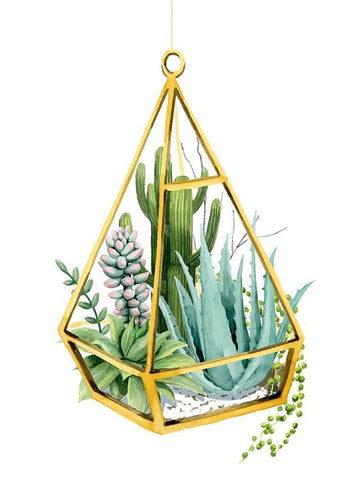 Wild Terrarium III White Modern Wood Framed Art Print with Double Matting by Popp, Grace