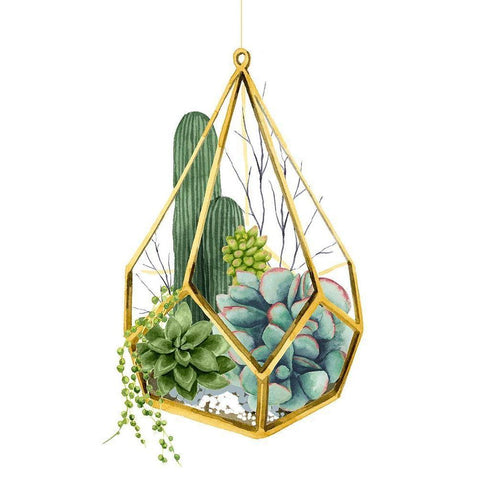 Wild Terrarium IV Black Modern Wood Framed Art Print with Double Matting by Popp, Grace