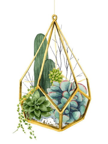 Wild Terrarium IV White Modern Wood Framed Art Print with Double Matting by Popp, Grace