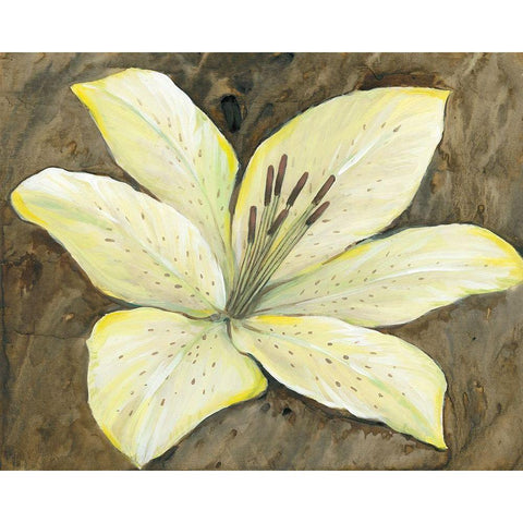 Neutral Lily I Gold Ornate Wood Framed Art Print with Double Matting by OToole, Tim