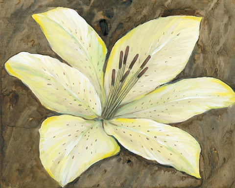 Neutral Lily II White Modern Wood Framed Art Print with Double Matting by OToole, Tim