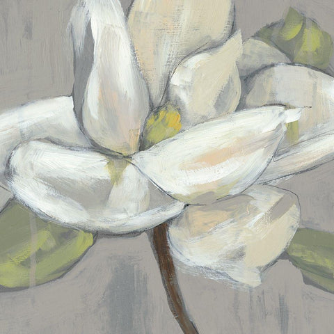 Magnolia on Grey White Modern Wood Framed Art Print by Goldberger, Jennifer