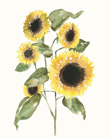 Sunflower Composition I White Modern Wood Framed Art Print with Double Matting by Goldberger, Jennifer
