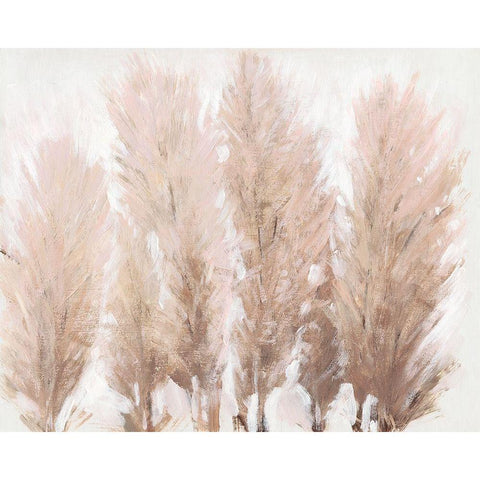 Pampas Grass II White Modern Wood Framed Art Print by OToole, Tim