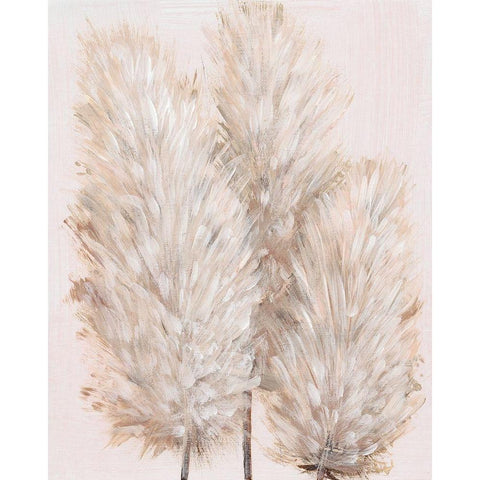 Pampas Grass IV Black Modern Wood Framed Art Print with Double Matting by OToole, Tim