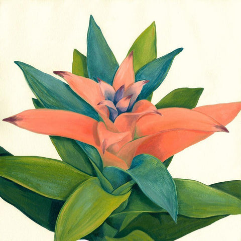 Tropical IV White Modern Wood Framed Art Print with Double Matting by Meagher, Megan