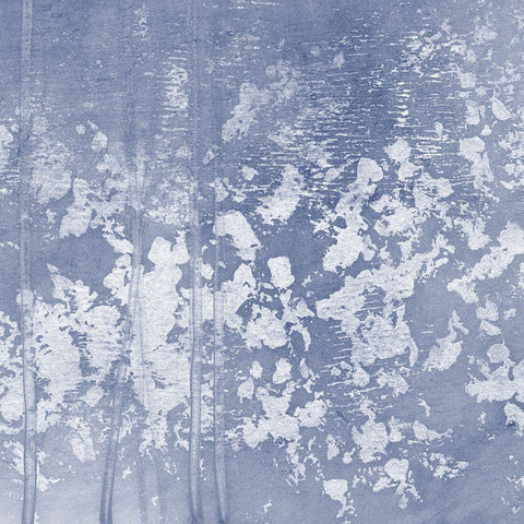 Indigo Rule I Black Ornate Wood Framed Art Print with Double Matting by Meagher, Megan