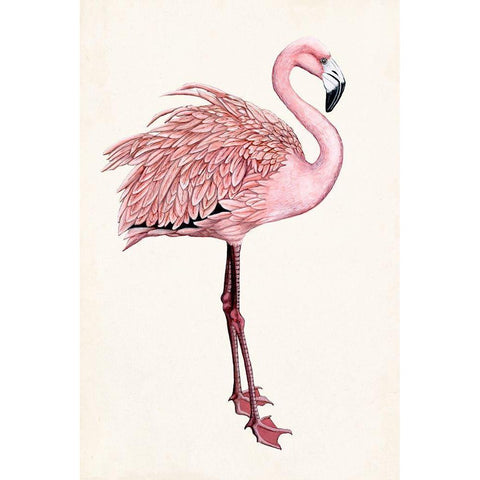 Striking Flamingo I White Modern Wood Framed Art Print by McCavitt, Naomi