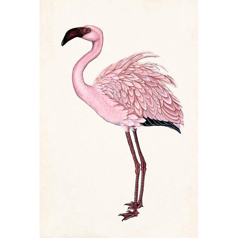 Striking Flamingo II Gold Ornate Wood Framed Art Print with Double Matting by McCavitt, Naomi