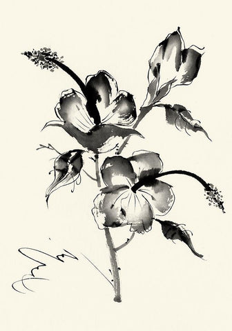 Ink Wash Floral III - Hibiscus Black Ornate Wood Framed Art Print with Double Matting by Rae, Nan