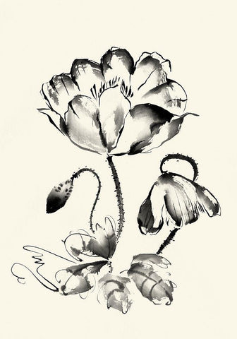 Ink Wash Floral IV - Poppy Black Ornate Wood Framed Art Print with Double Matting by Rae, Nan